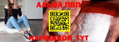 индика Сланцы