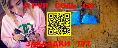 индика Сланцы