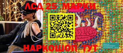 индика Сланцы