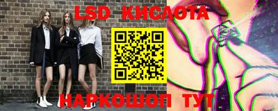 индика Сланцы
