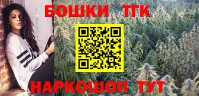 индика Сланцы