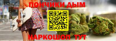индика Сланцы