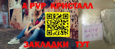 индика Сланцы