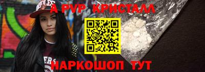 индика Сланцы