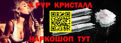индика Сланцы