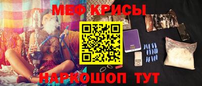 индика Сланцы