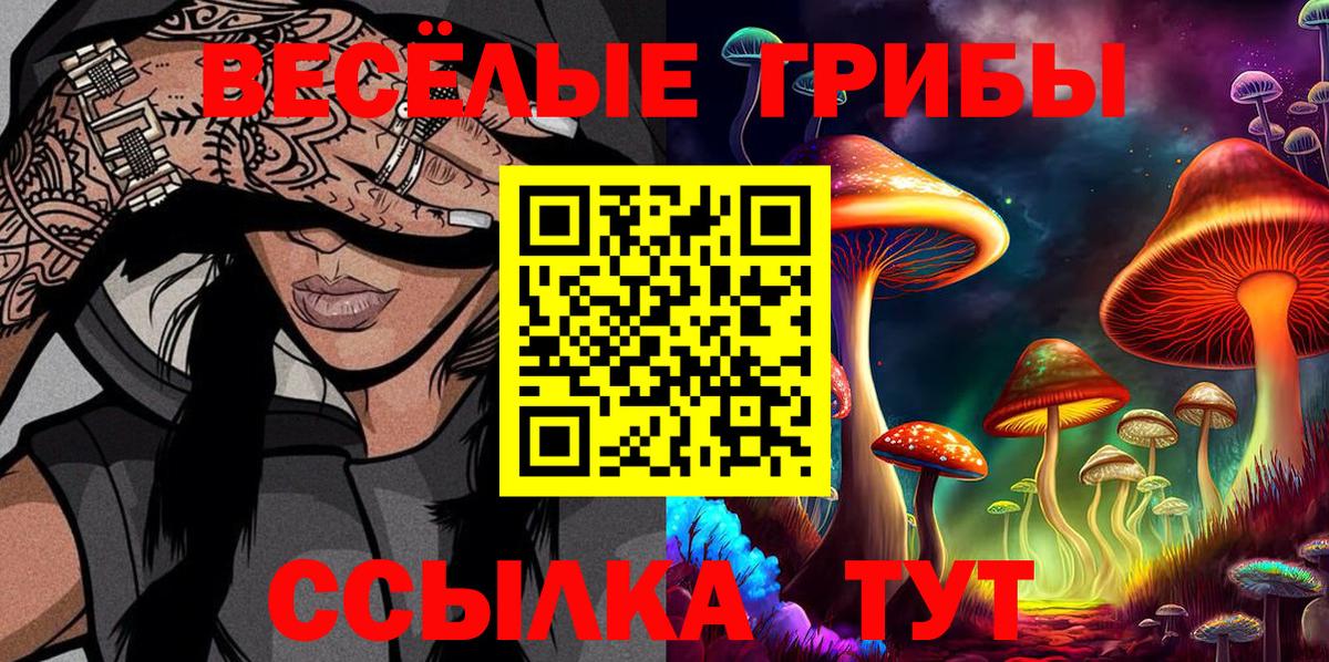 Галлюциногенные грибы Psilocybe Бийск